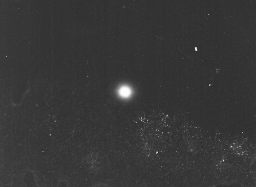 天体写真（月）04