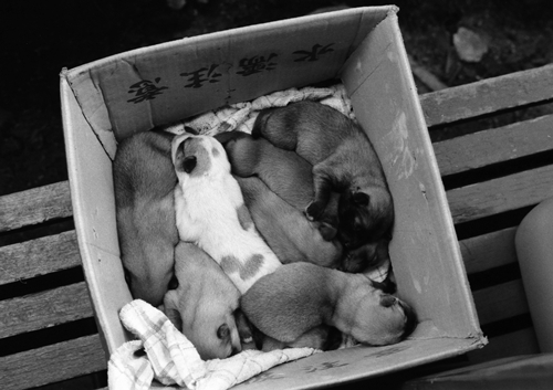 アロンの子供01