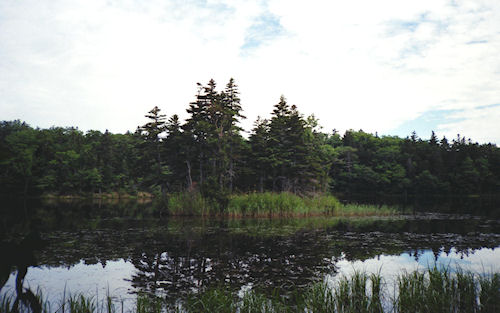 北海道33知床五湖