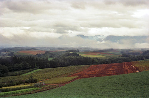 北海道62富良野