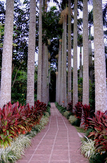 沖縄22東南植物楽園