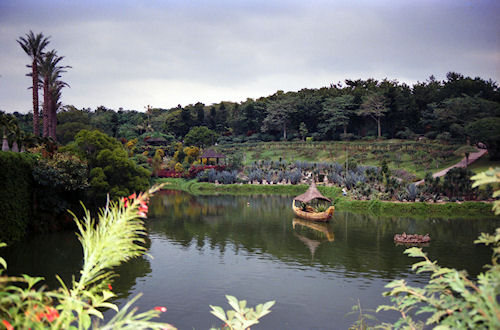 沖縄24東南植物楽園