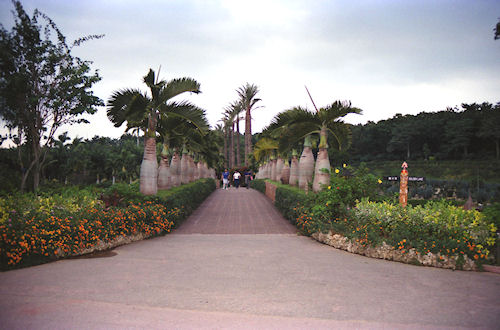 沖縄25東南植物楽園