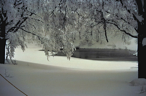 蔵王スキー場より