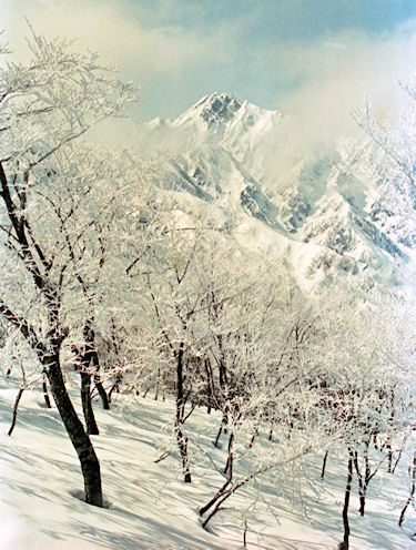 白馬村　五竜スキー場より02