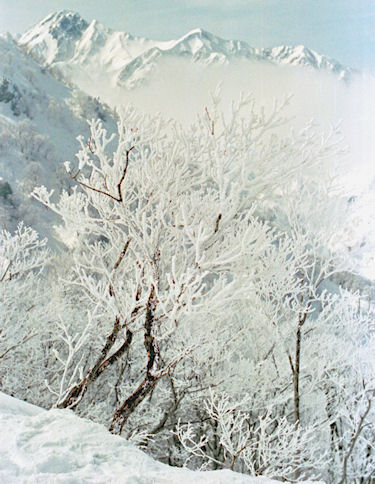 白馬村　五竜スキー場より06