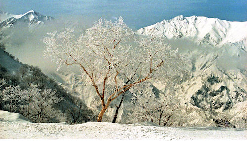 白馬村　五竜スキー場より07
