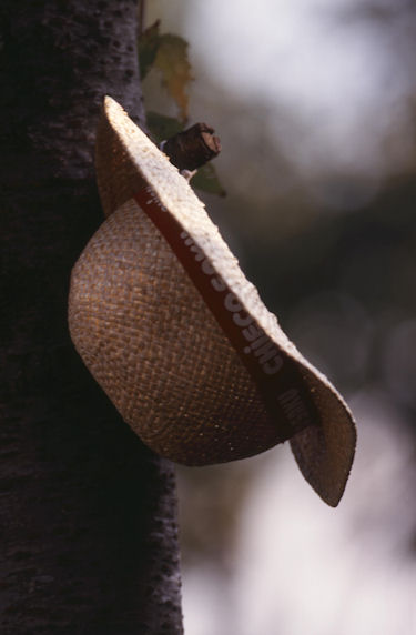 四季の森公園03