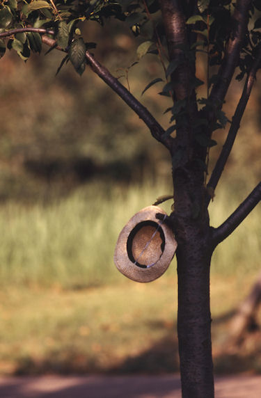 四季の森公園04