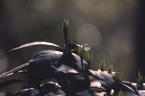 四季の森公園08