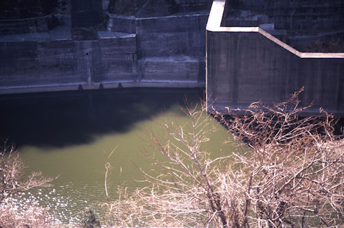 津久井湖〈渇水〉07