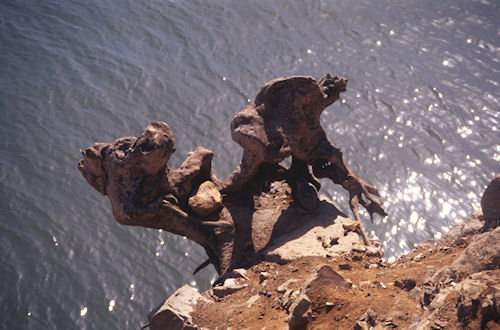 津久井湖〈渇水〉38