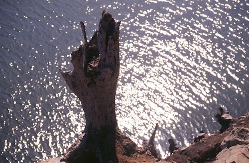 津久井湖〈渇水〉40