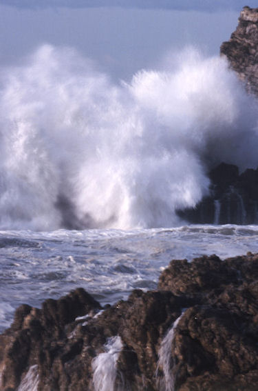 渥美半島伊良子岬05