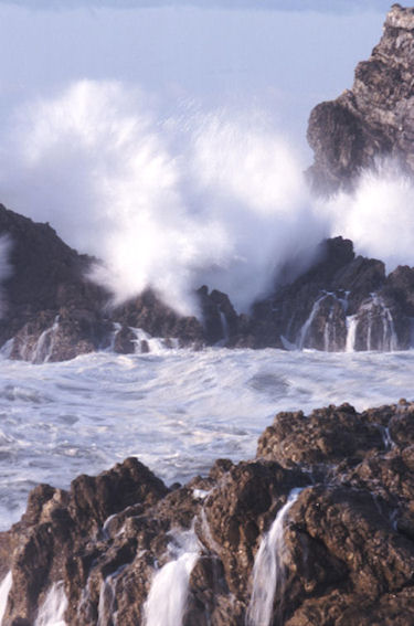 渥美半島伊良子岬06