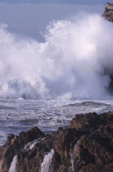 渥美半島伊良子岬07