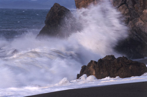 渥美半島伊良子岬13