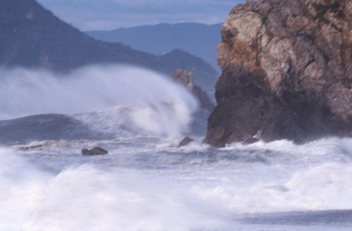 渥美半島伊良子岬15