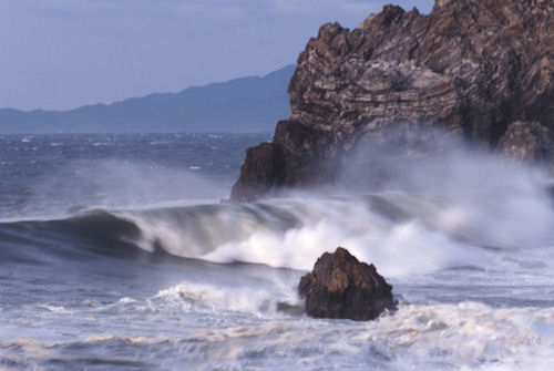 渥美半島伊良子岬17