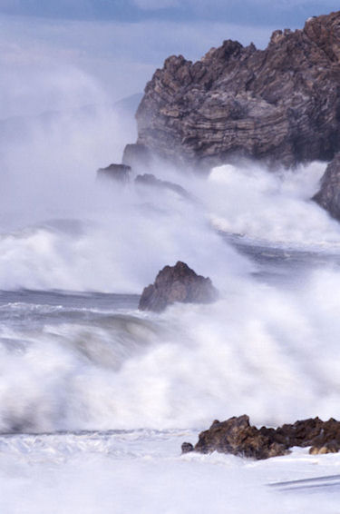 渥美半島伊良子岬18