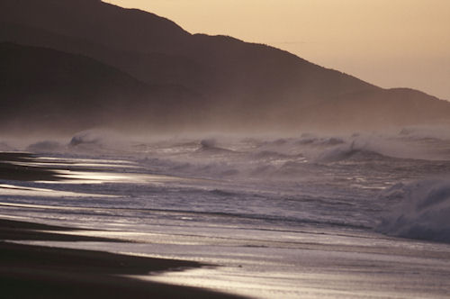 渥美半島伊良子岬23