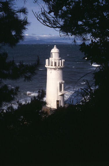 渥美半島伊良子岬25