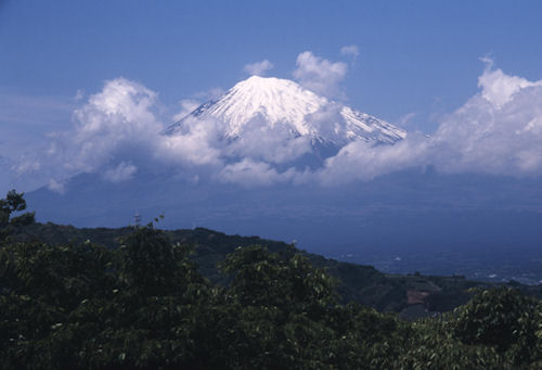 富士山