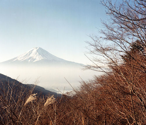 富士山＆河口湖〈御坂峠〉