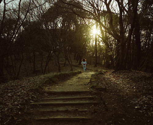 四季の森公園03