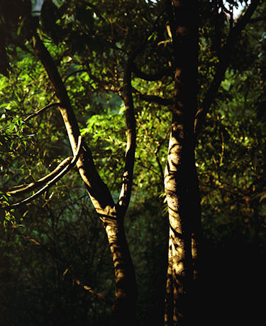 四季の森公園04