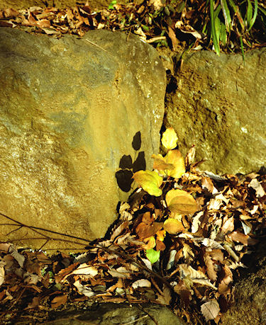 四季の森公園06