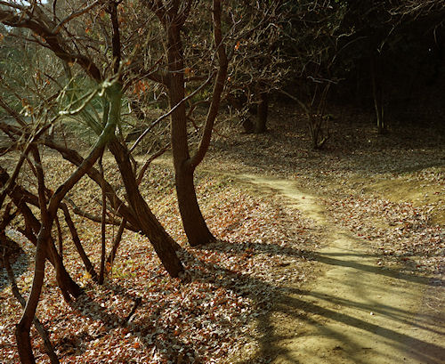 四季の森公園09