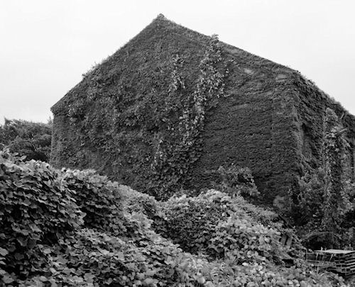 赤レンガ倉庫群09