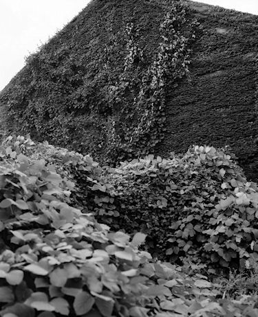 赤レンガ倉庫群10