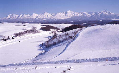 美瑛町/美馬牛01