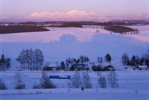 美瑛町/美馬牛04