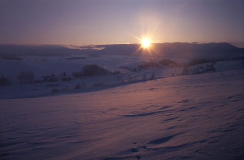 美瑛町/美馬牛06