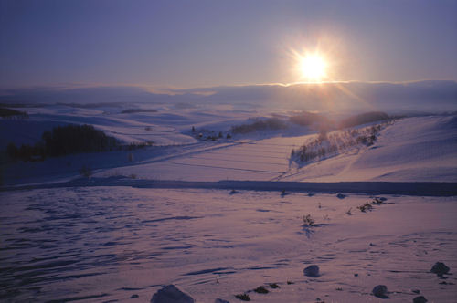 美瑛町/美馬牛07