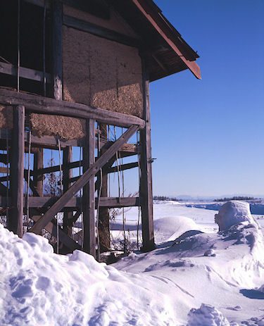 美瑛町/美馬牛13