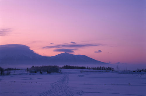 美瑛町/美馬牛18