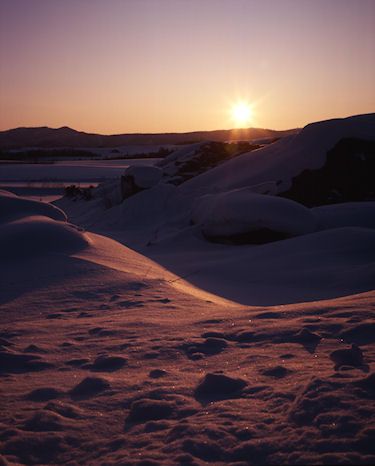 美瑛町/美馬牛19