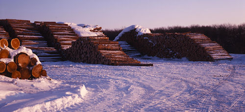 美瑛町/美馬牛23