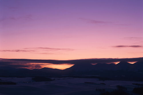 美瑛町/美馬牛26