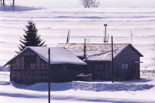 美瑛町/美馬牛29