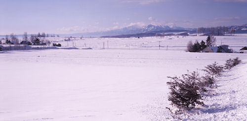 美瑛町/美馬牛30