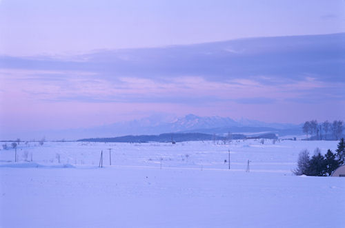 美瑛町/美馬牛31