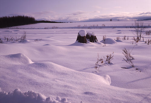 美瑛町/美馬牛32