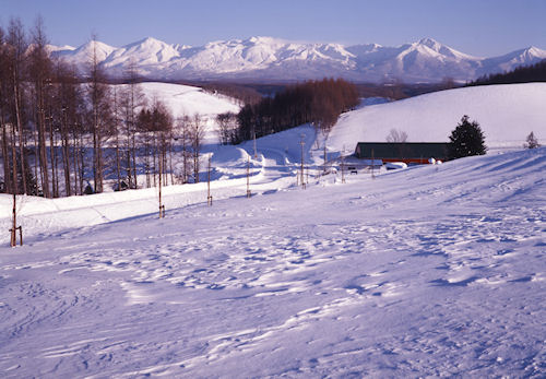 美瑛町/美馬牛42