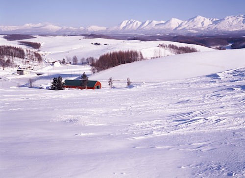 北海道　上川郡　美瑛町