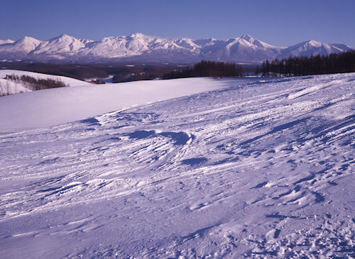 美瑛町/美馬牛44